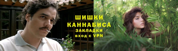 прущие грибы Волоколамск