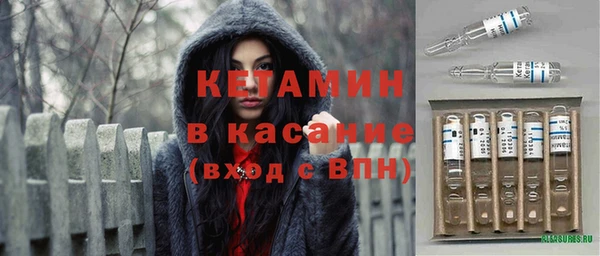 прущие грибы Волоколамск