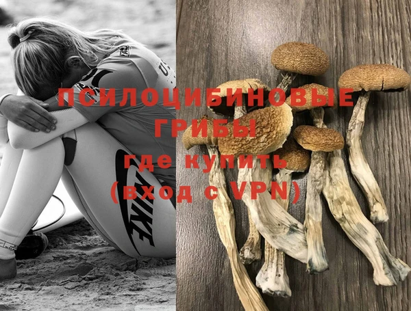 mdpv Волосово